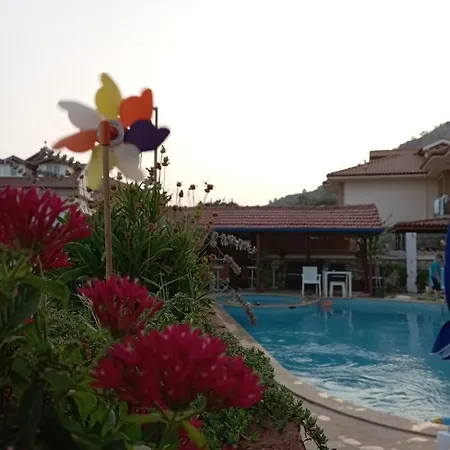 Kayali أورتاجا